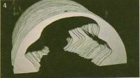 Reconstitution de Lascaux (4)